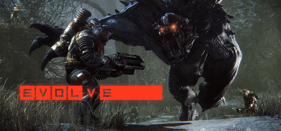 Evolve Evolve