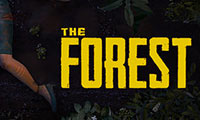 The Forest